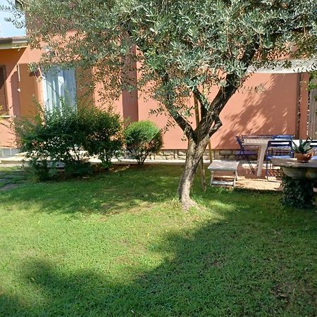 A Casa Di Berta Apartman Pietrasanta Kültér fotó