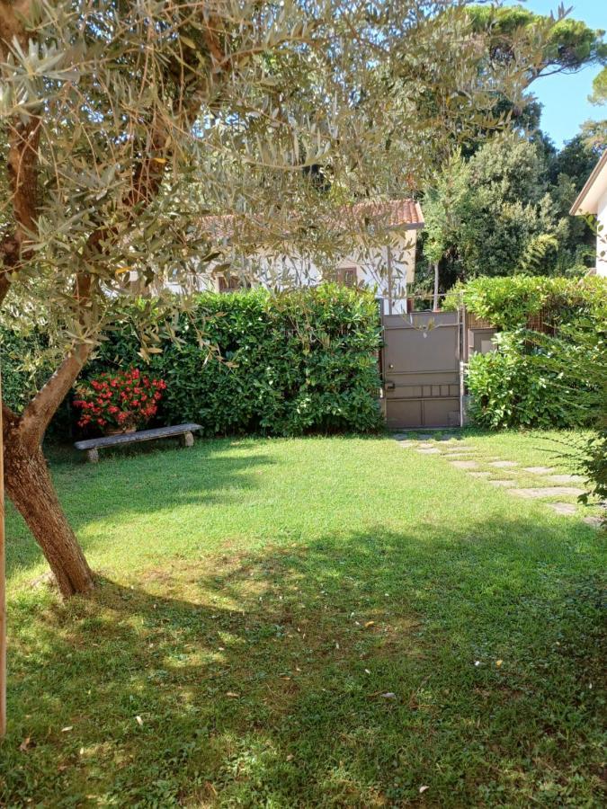 A Casa Di Berta Apartman Pietrasanta Kültér fotó