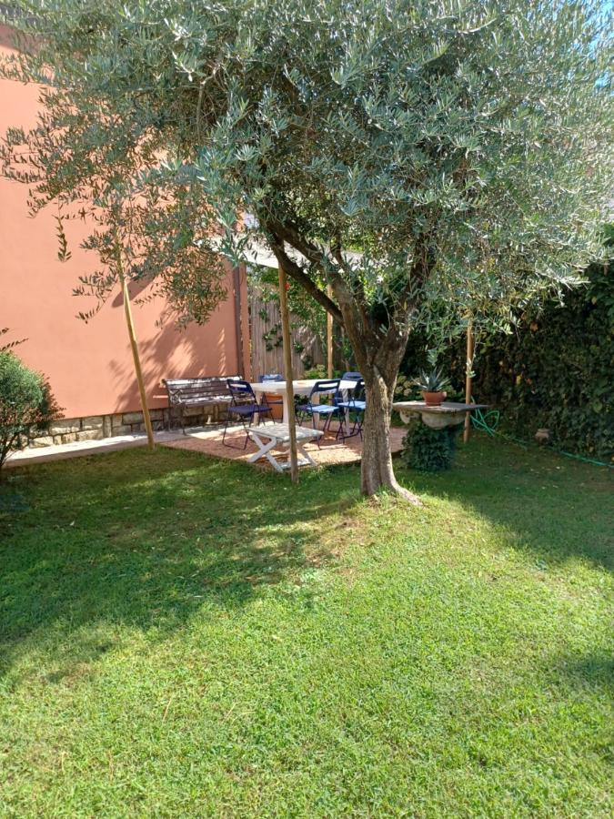 A Casa Di Berta Apartman Pietrasanta Kültér fotó